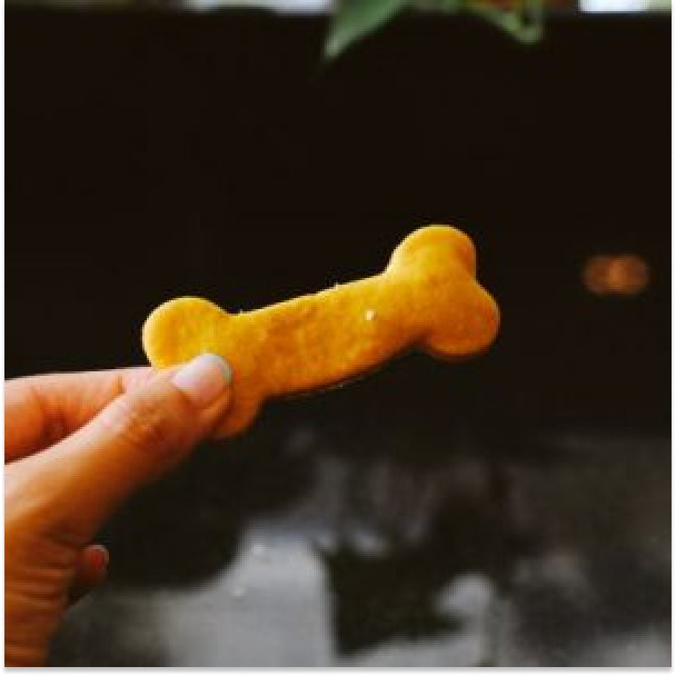 Image showcasing Peanut Butter and Banana Dog Treats (1 pc) 8713253847279 – Sunshine Market