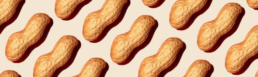 Nut Butter in Bangkok — The Most Asked Questions, Answered