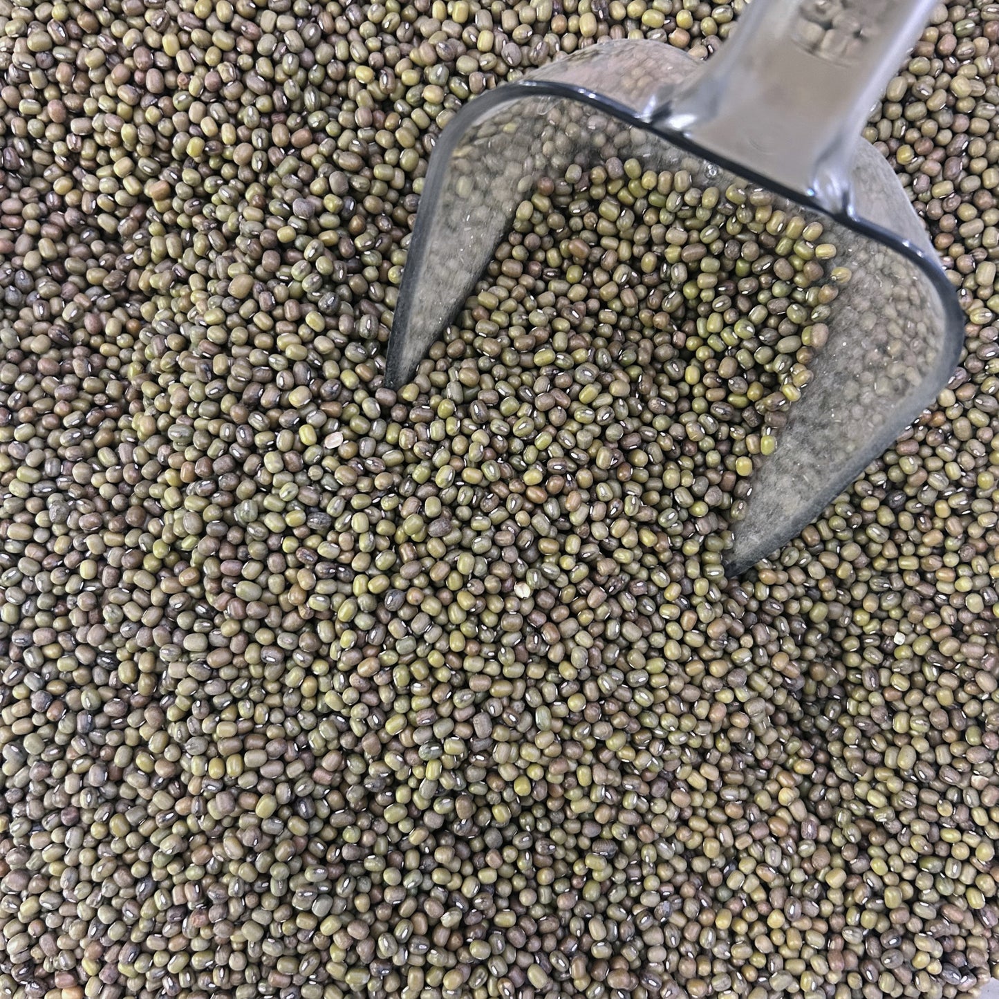 Bob's Red Mill Mung Beans (100g)