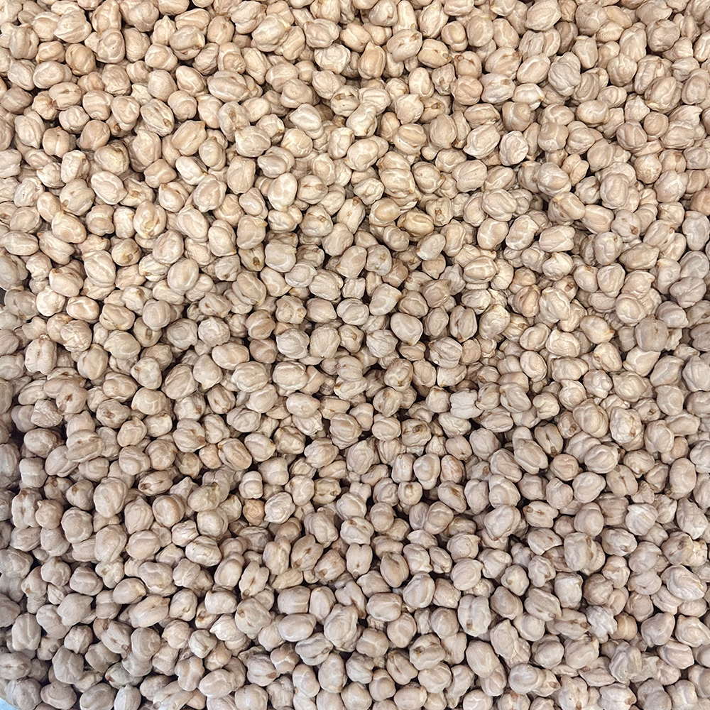 Sunshine Market Organic Chickpeas (100g)