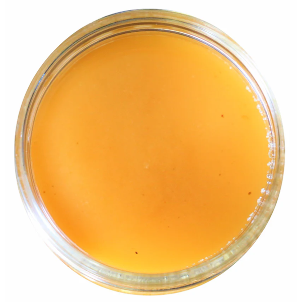 Latin Honey Shop Raw Organic Golden Pilosa Honey from Mexico (227g)