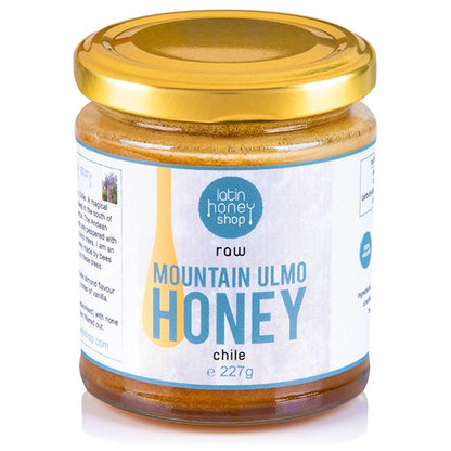 Latin Honey Shop Raw Organic Golden Pilosa Honey from Mexico (227g)